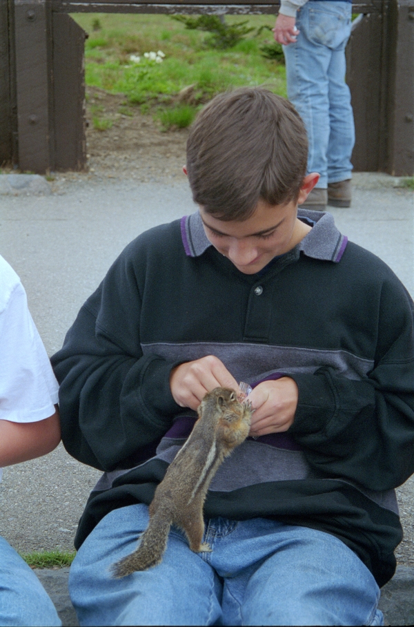 Bruce feeds a chipmunk