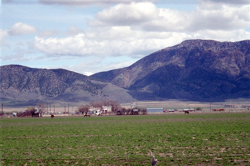 At Malad Airport looking back towards Two-Mile Canyon