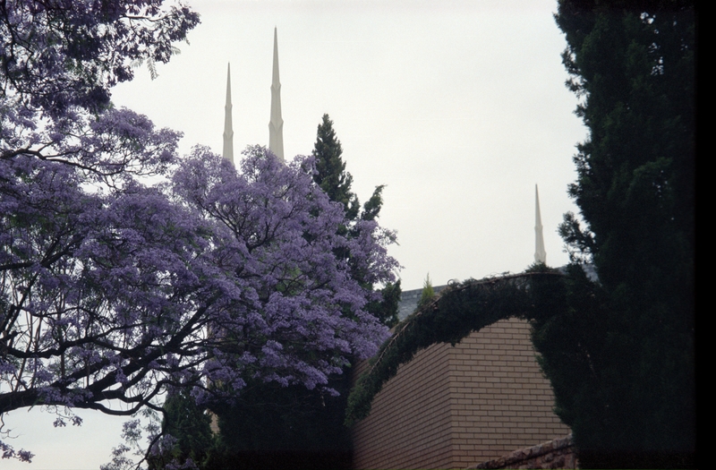 Temple at Johannesburg SA