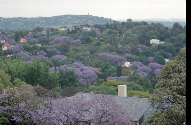 View from Temple at Johannesburg SA