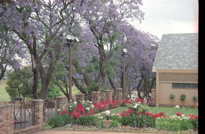 Temple Grounds at Johannesburg SA