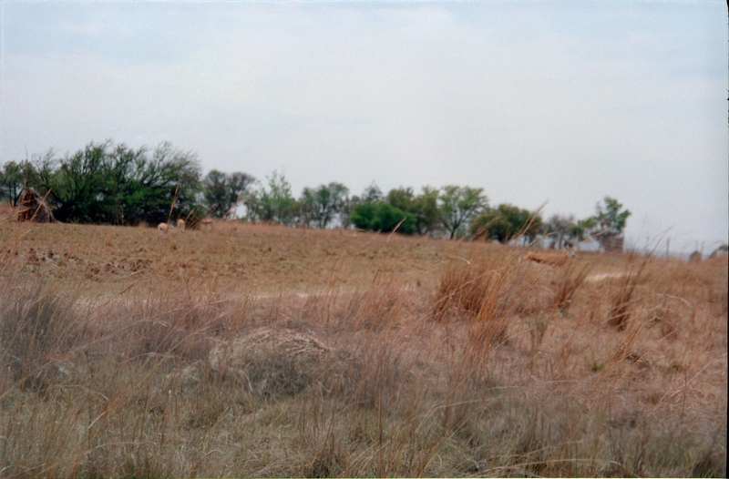 Johannesburg Lion Park