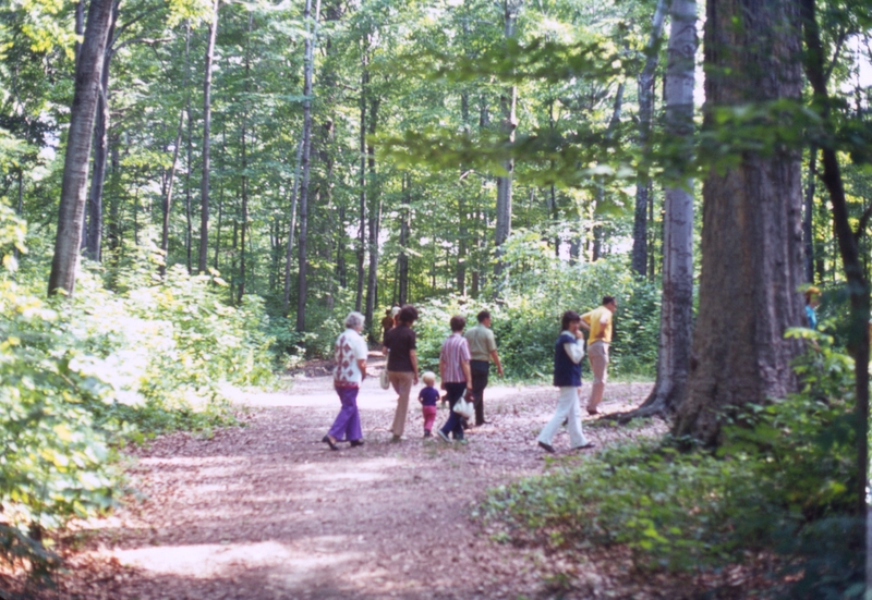 Sacred Grove