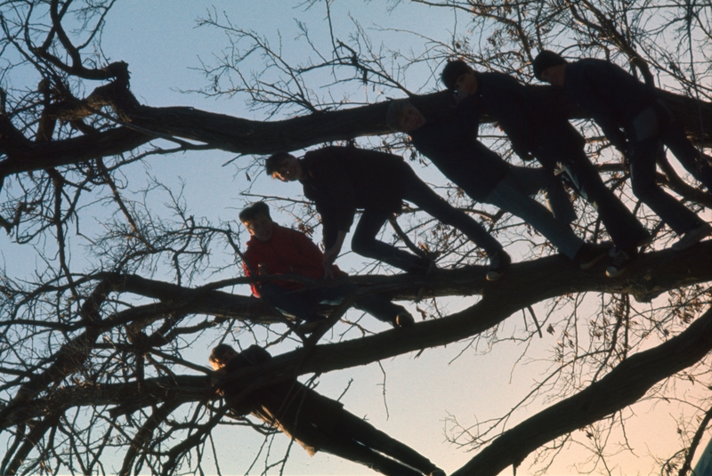 Monkeys in a tree, Explorer Scout activity