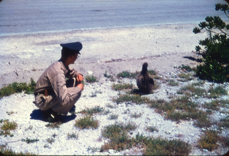 Larry makes friends with a Gooney Bird