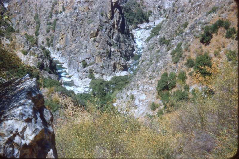 Scene from Sequoia National Park