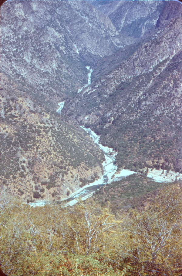 Scene from Sequoia National Park