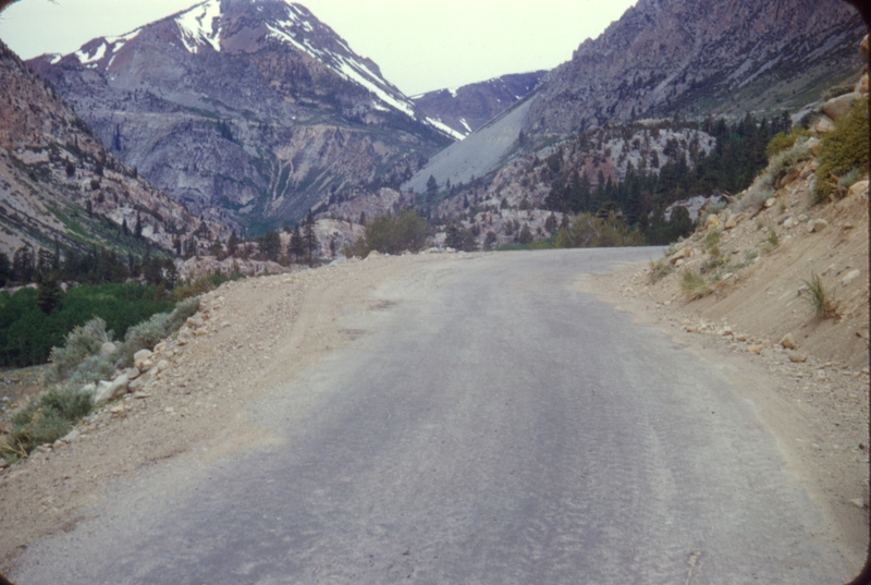 Scene from Sequoia National Park