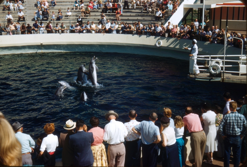 Marineland of the Pacific