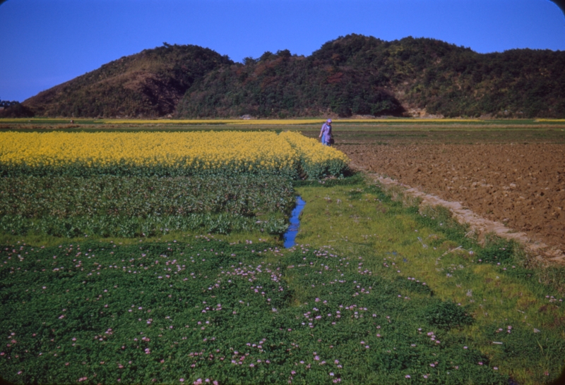 Scenes on Shigonishima Hike