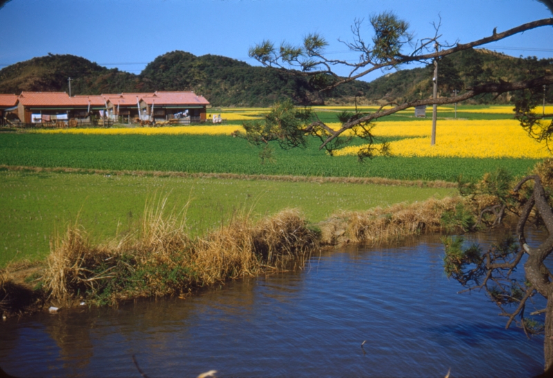 Scenes on Shigonishima Hike