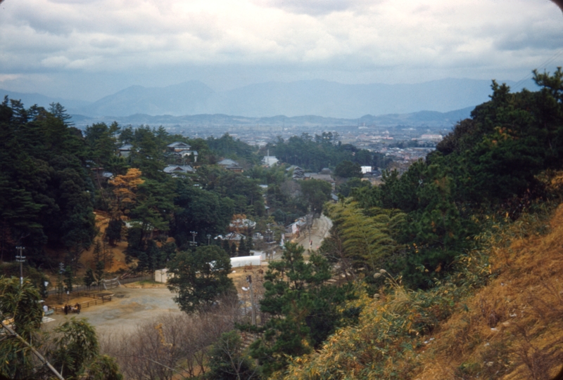 Fukuoka scene, out by the zoo