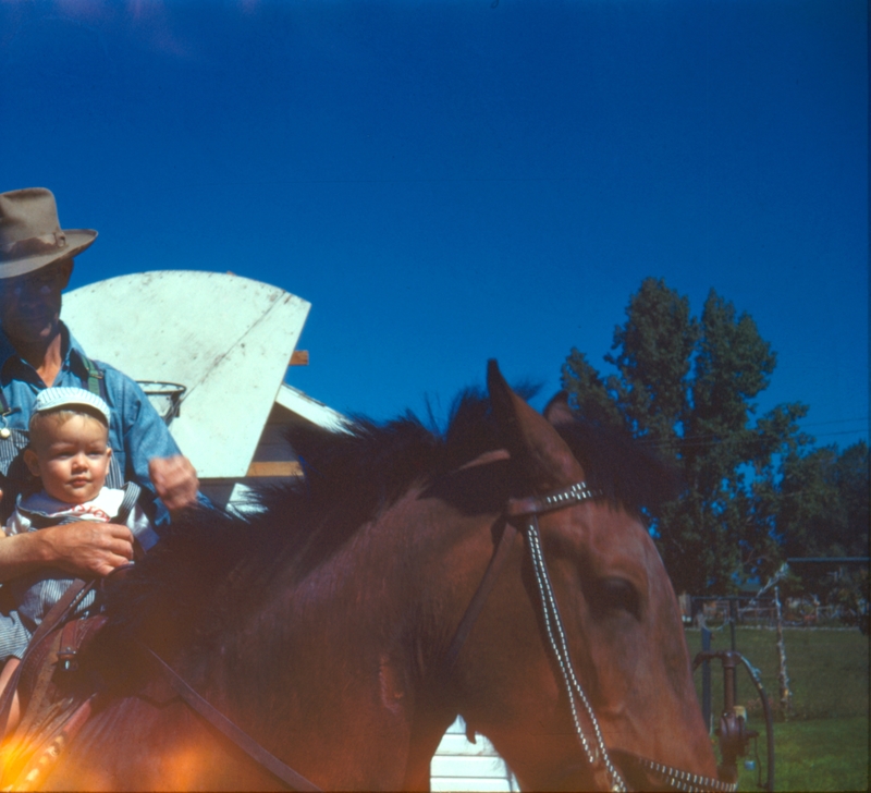 Horse with Roscoe and Mike