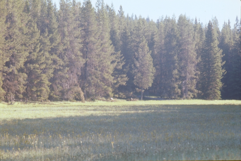 Hardware Ranch, Blacksmith Fork ??