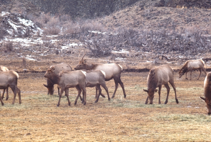 Hardware Ranch, Blacksmith Fork ??