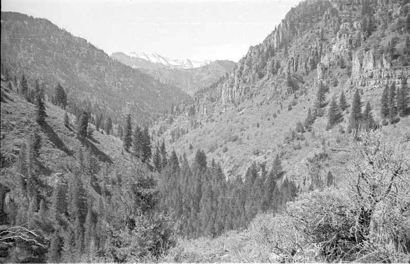 Logan Canyon