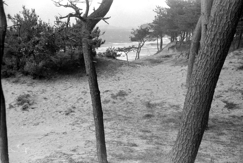 Beach near Brady AFB