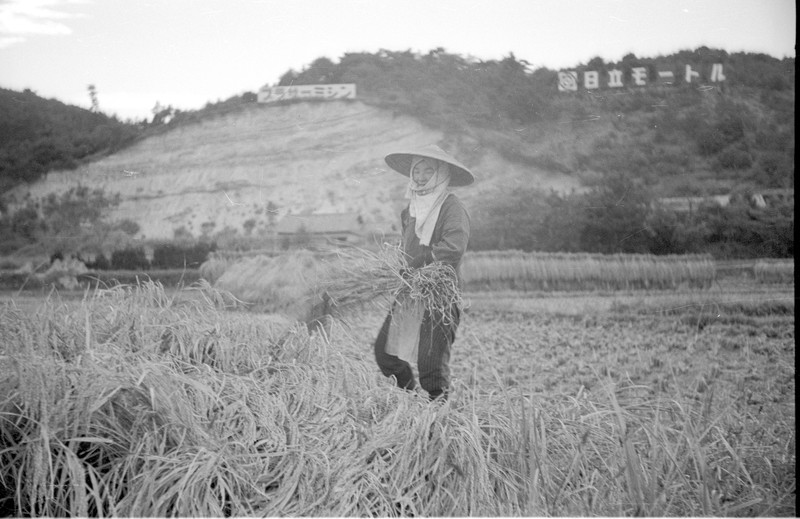 Japanese Farm Scene