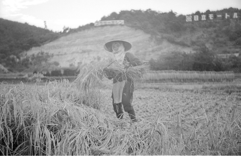 Japanese Farm Scene