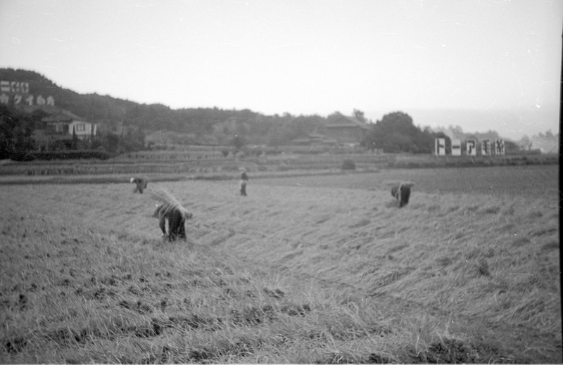 Japanese Farm Scene