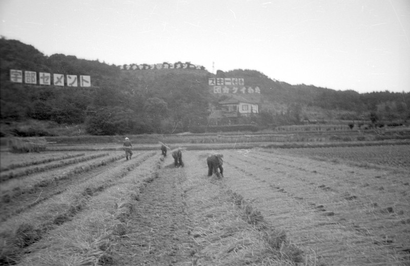 Japanese Farm Scene