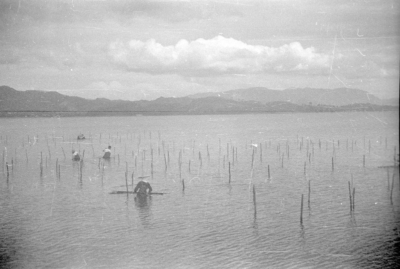 Japanese Farm Scene