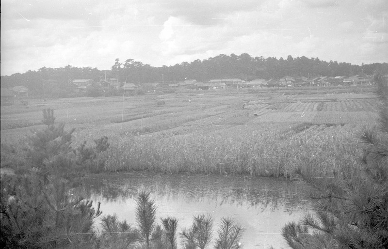 Japanese Farm Scene