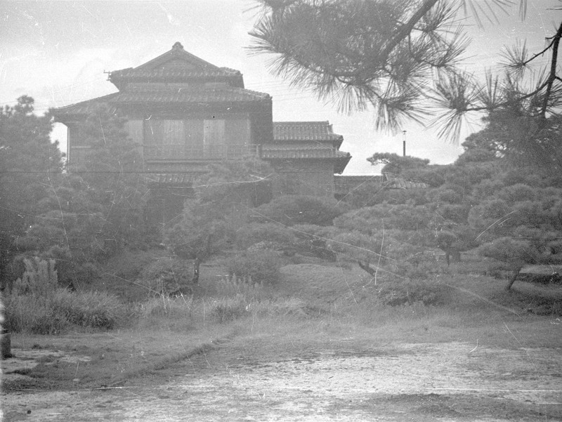 Japanese Farm Scene