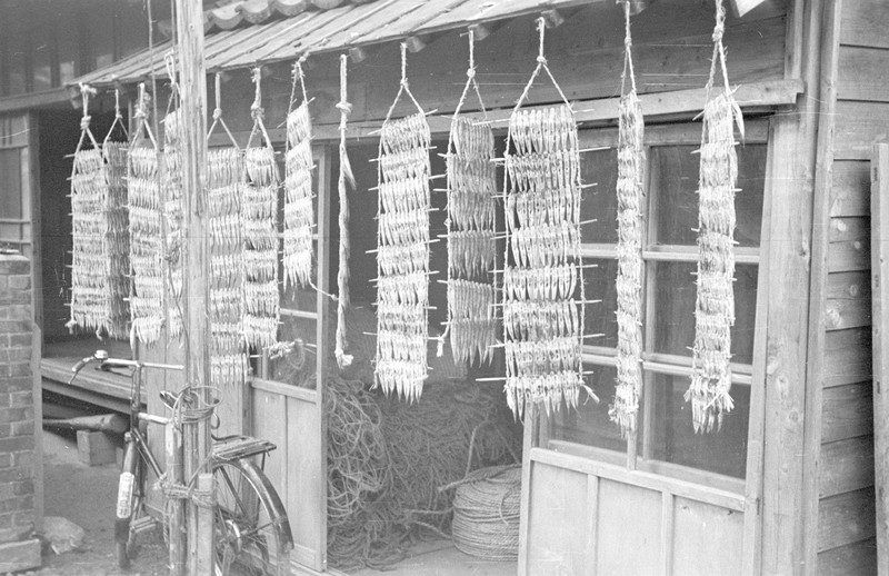 Drying fish, Japanese Village Scene