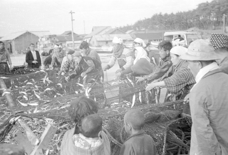 Scenes on Shiganashima near Brady AFB