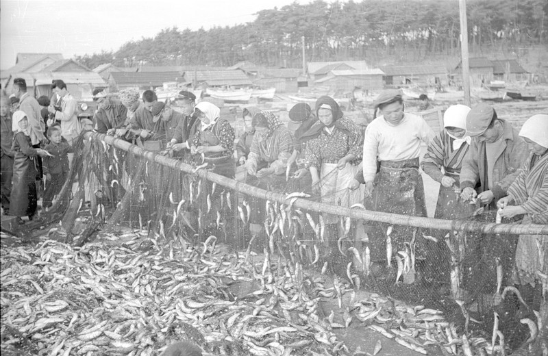 Scenes on Shiganashima near Brady AFB