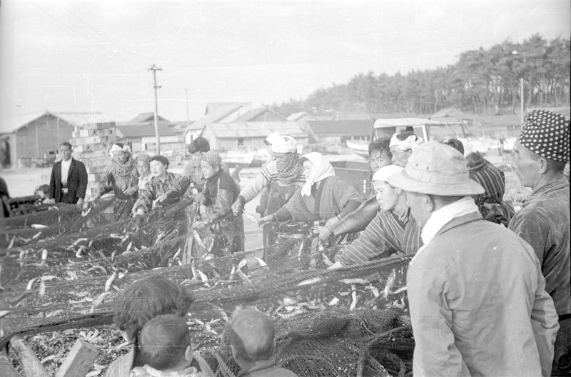 Scenes on Shiganashima near Brady AFB