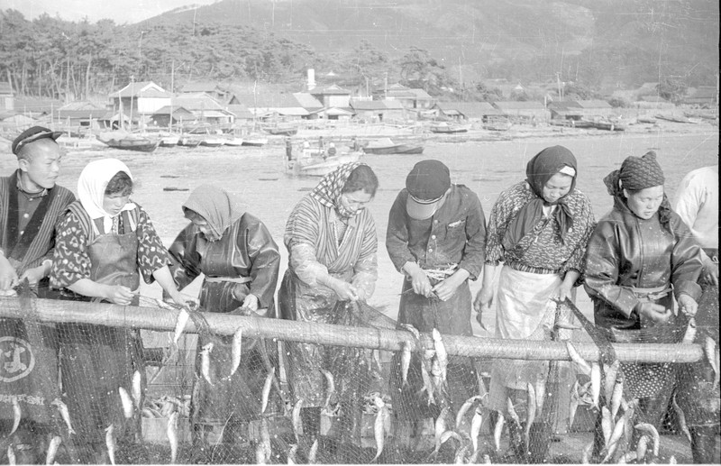 Scenes on Shiganashima near Brady AFB