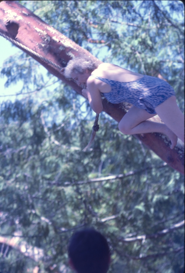 Reunion at Belfair, near Bremerton WA, Jean is up a tree