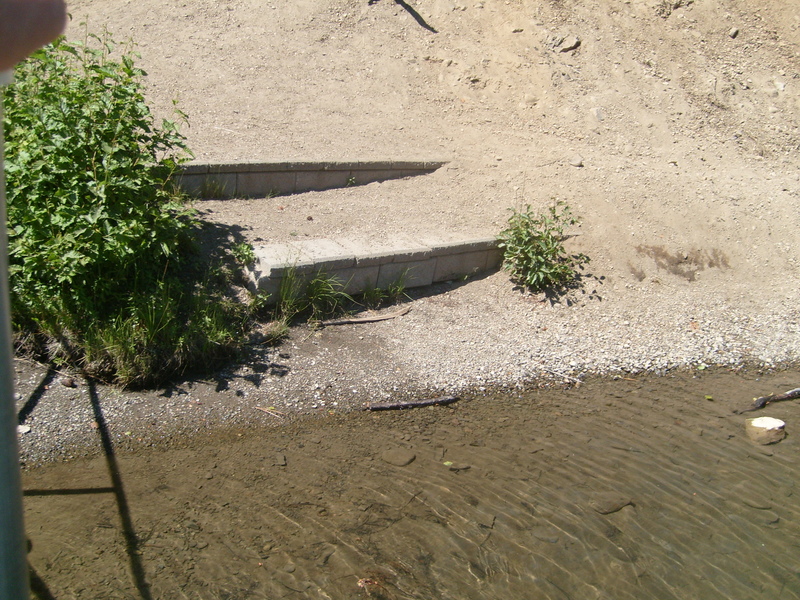 Shoreline as seen from the dock.