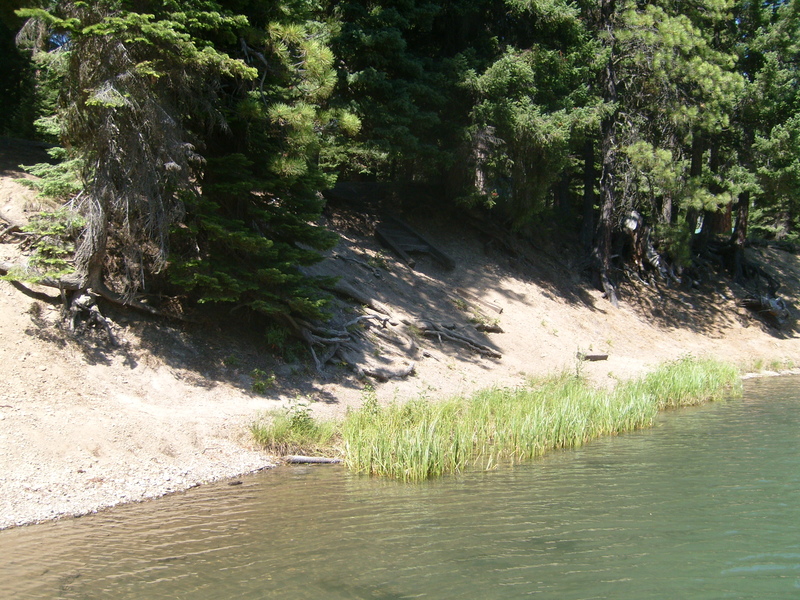 Shoreline as seen from the dock.