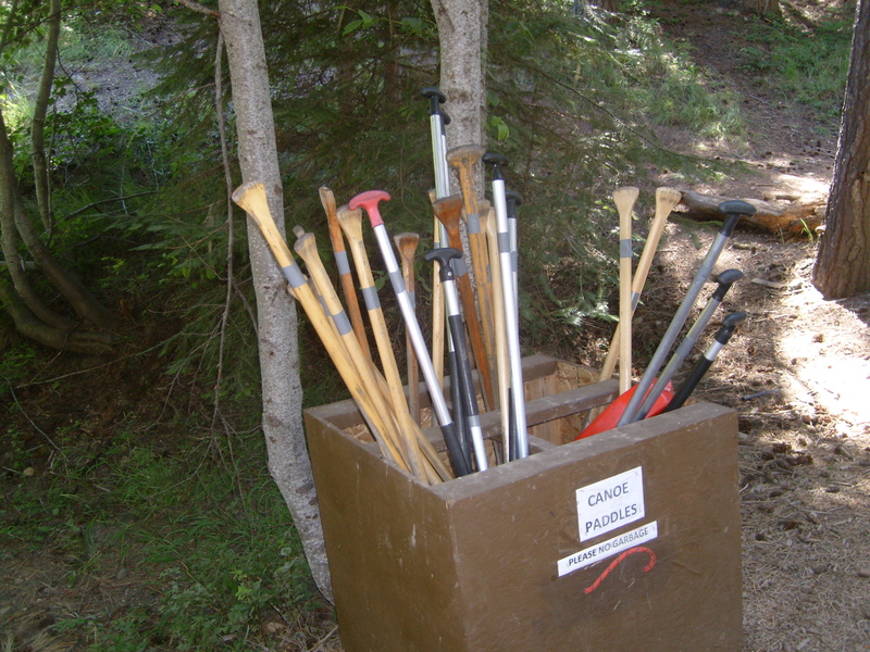 Paddles for the canoes.